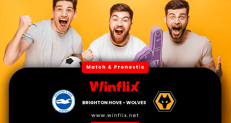 Pronostic Brighton Hove Wolves