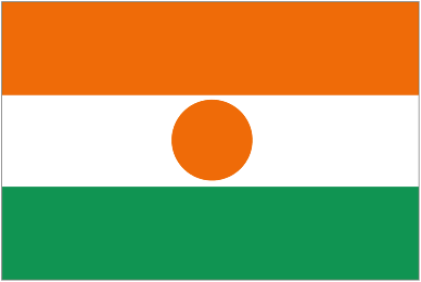 Niger pronostics match du jour